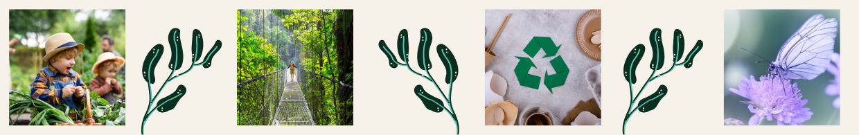 jardinage-ecologique-alienor-genie-climatique-dordogne-action-ecoresponsable-pompe-a-chaleur-climatisation-perigord (2) jardinage-ecologique-alienor-genie-climatique-dordogne-action-ecoresponsable-pompe-a-chaleur-climatisation-perigord (2)